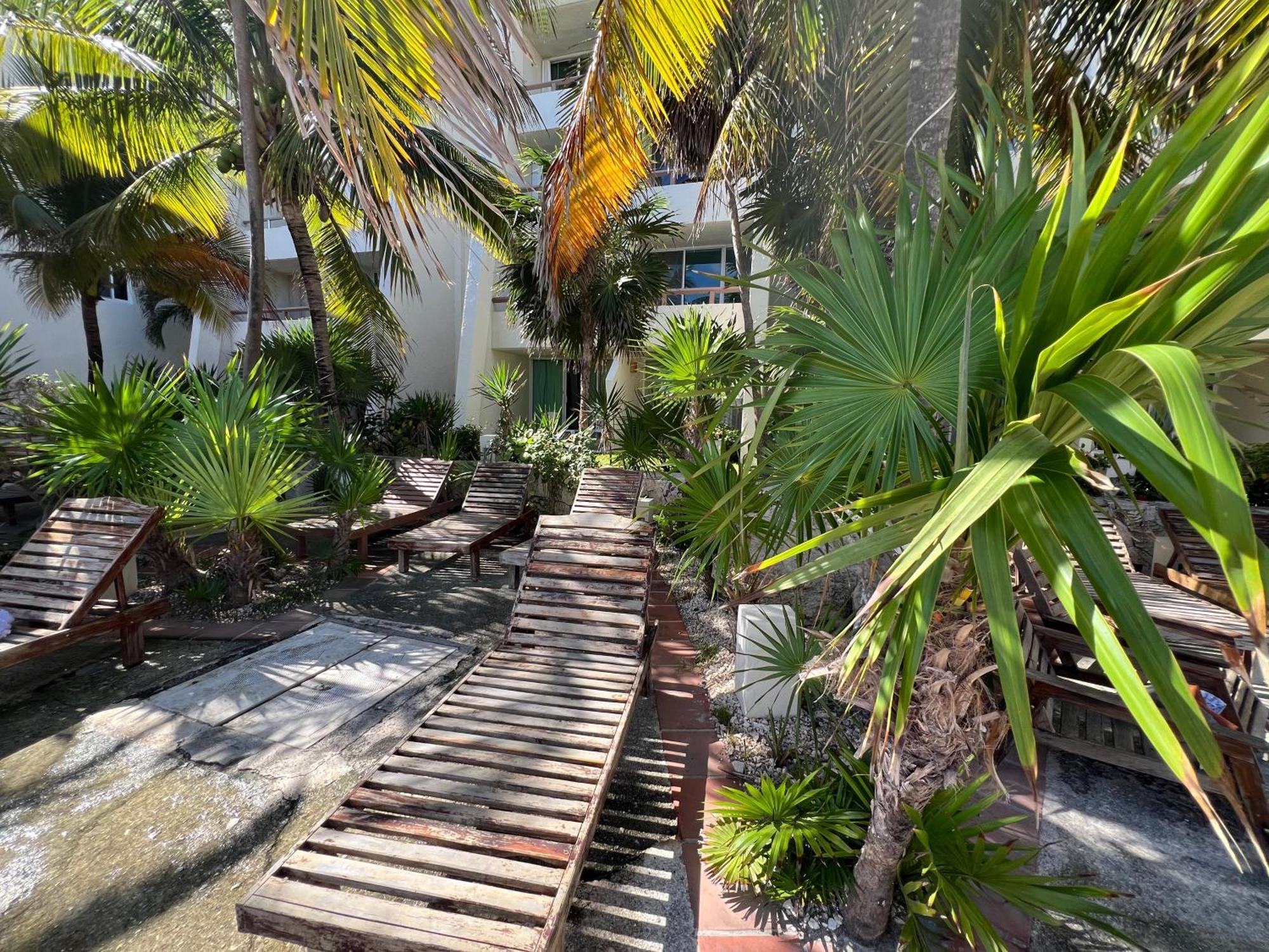 Solymar Studio Apt Beachfront With Sunset Views Apartment *