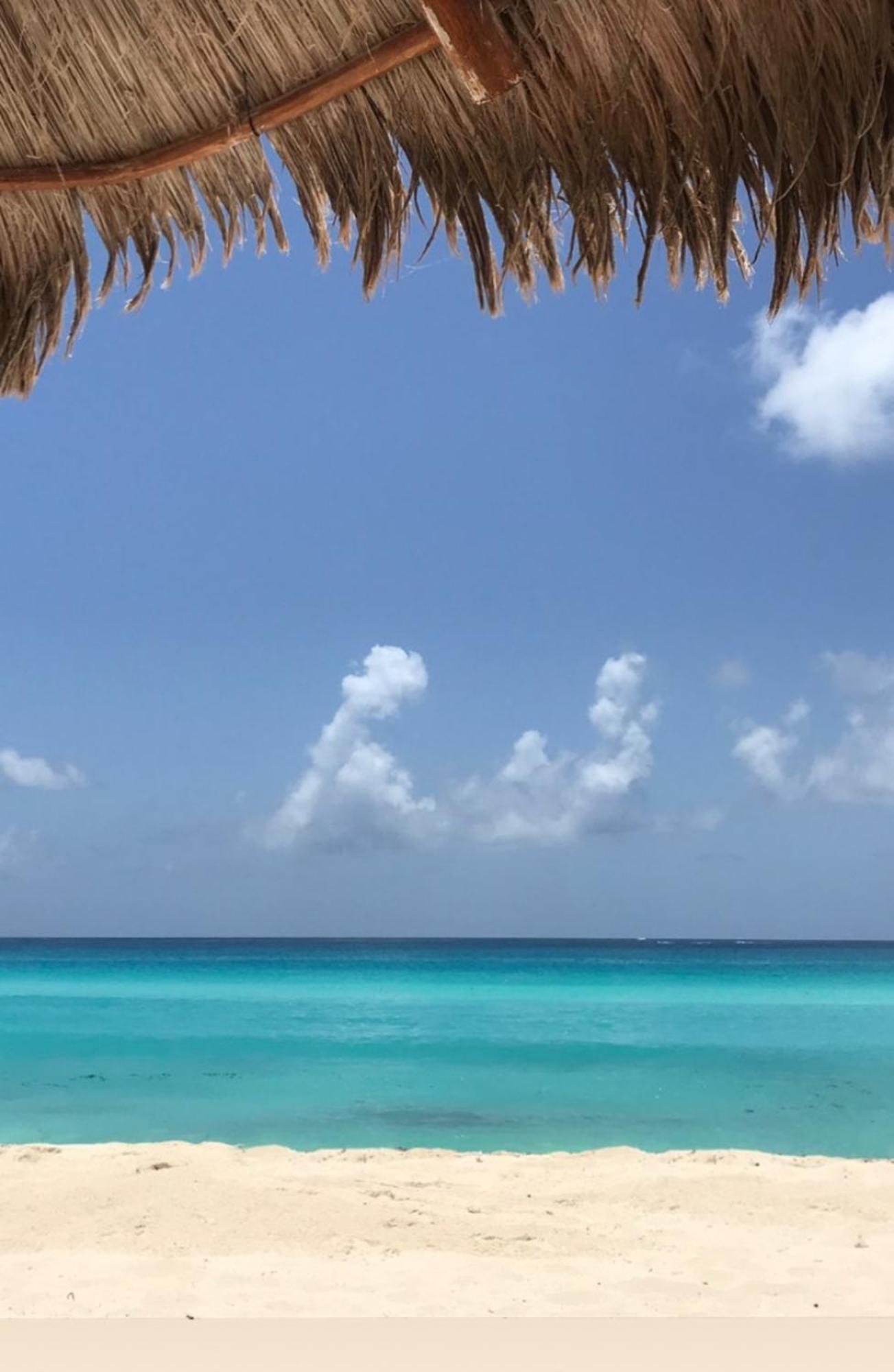 Apartment Brisas Ocean View And Private Garden Zona Hotelera 07 Cancun