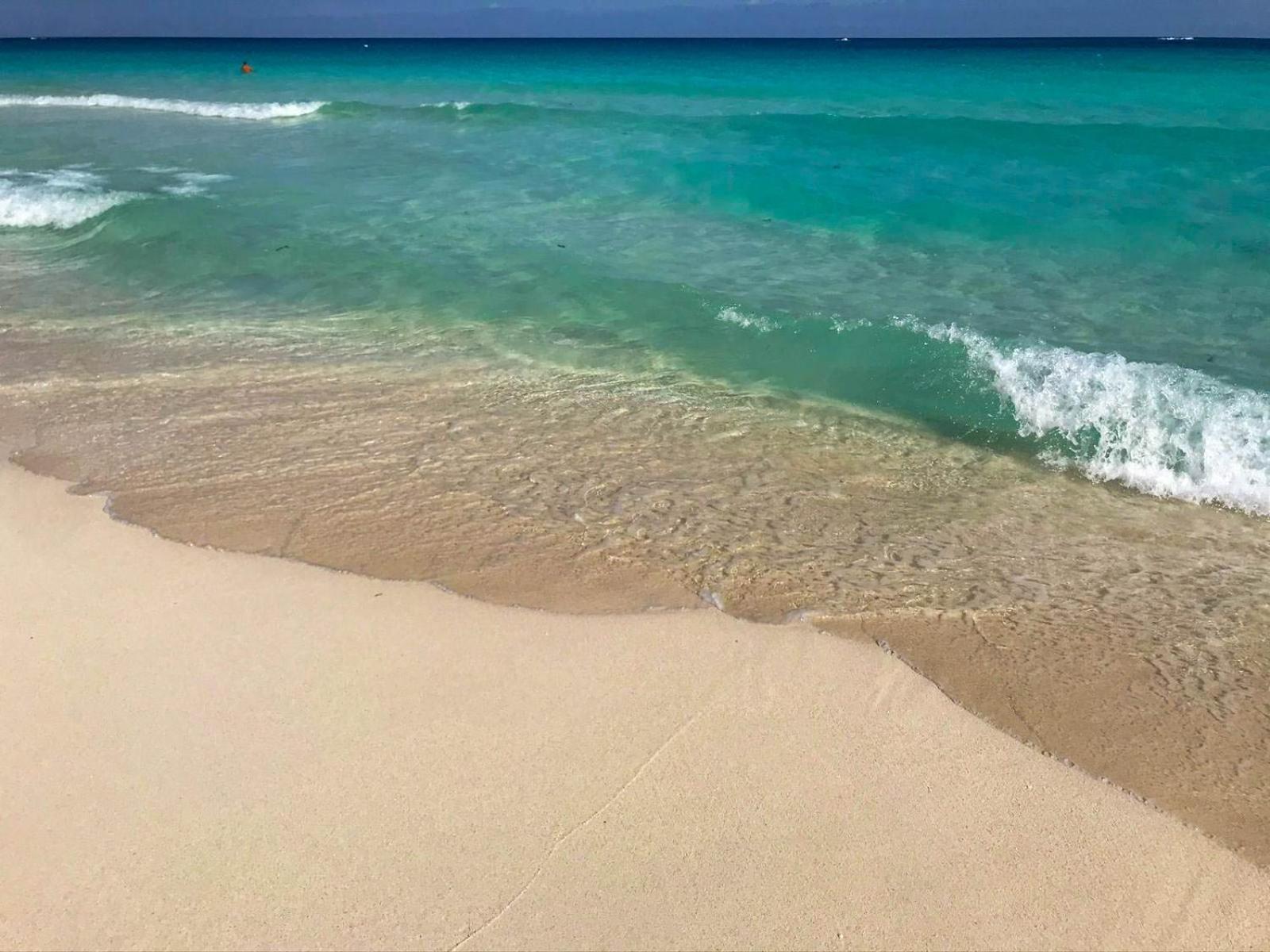 Seashore