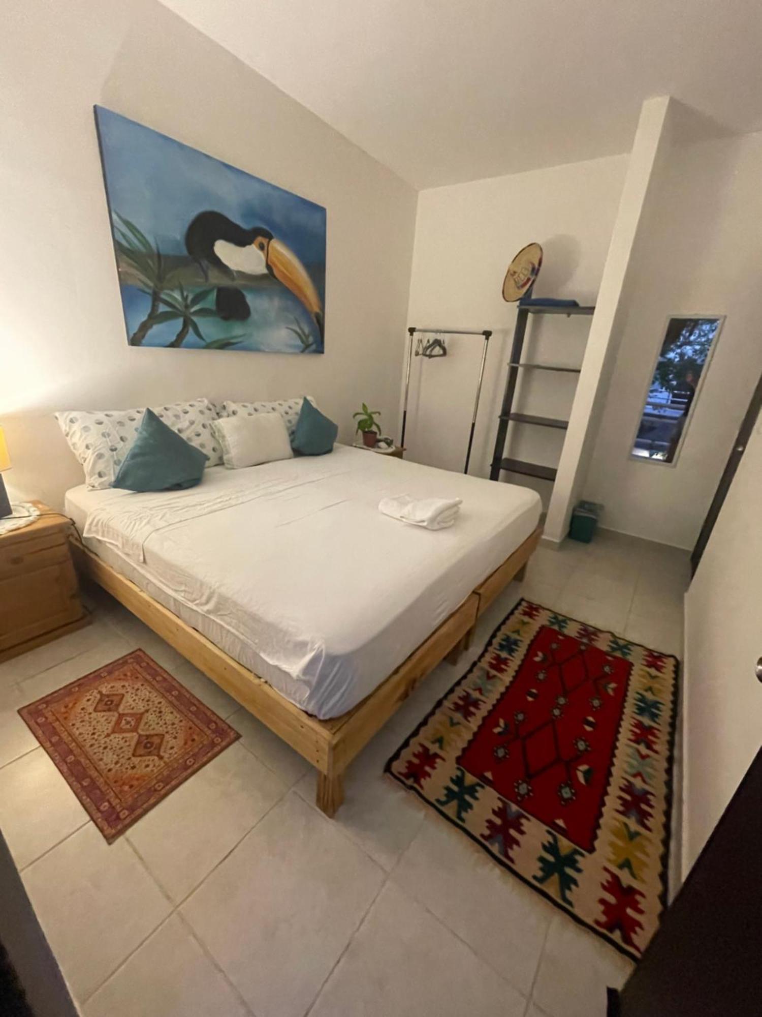Home's Jungle Puerto Morelos 20 Minutes From The Airport Pensión *