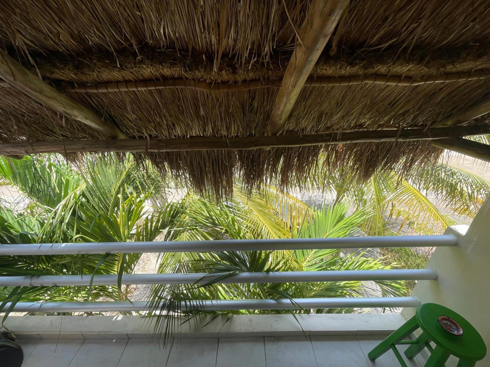 Pensión Home's Jungle Puerto Morelos 20 Minutes From The Airport Cancún