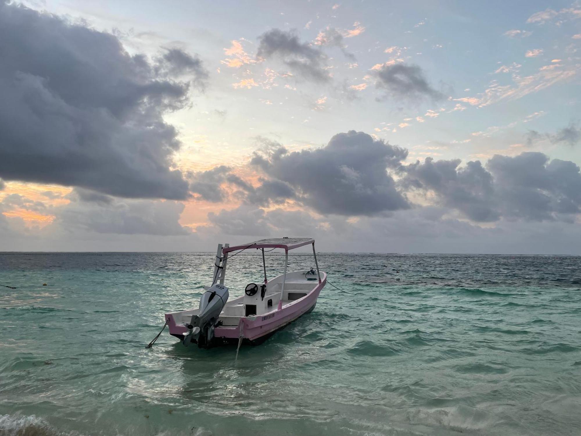 Home's Jungle Puerto Morelos 20 Minutes From The Airport Cancún
