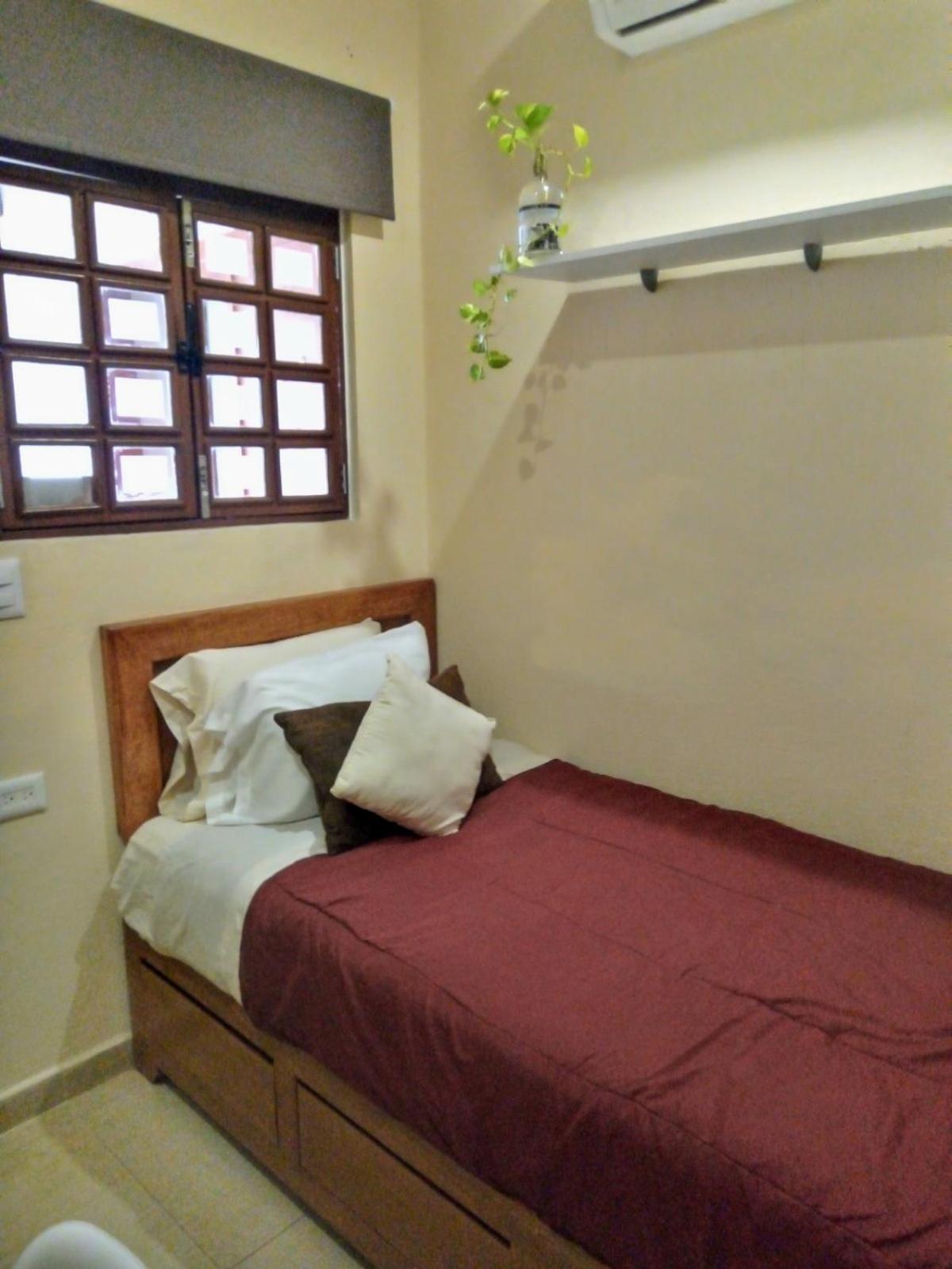 Pecarí 3* Cancún