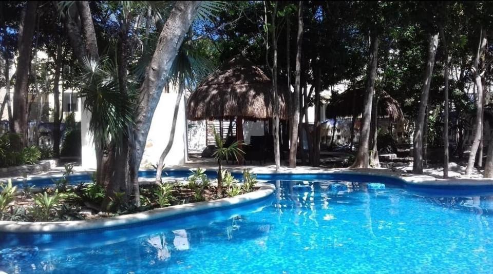 Home's Jungle Puerto Morelos 20 Minutes From The Airport * Cancún