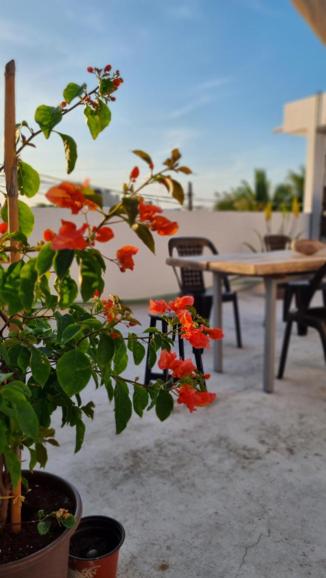 Apartamento On The Seaside Sunrise Haven 4 Sea View *