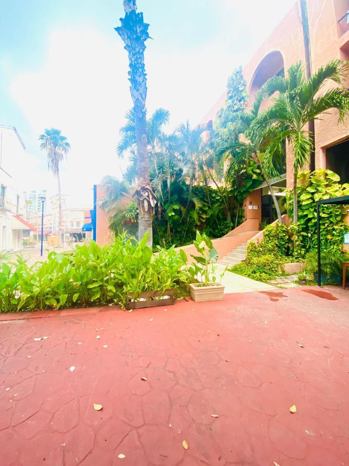 Apartamento La Casa De Noah