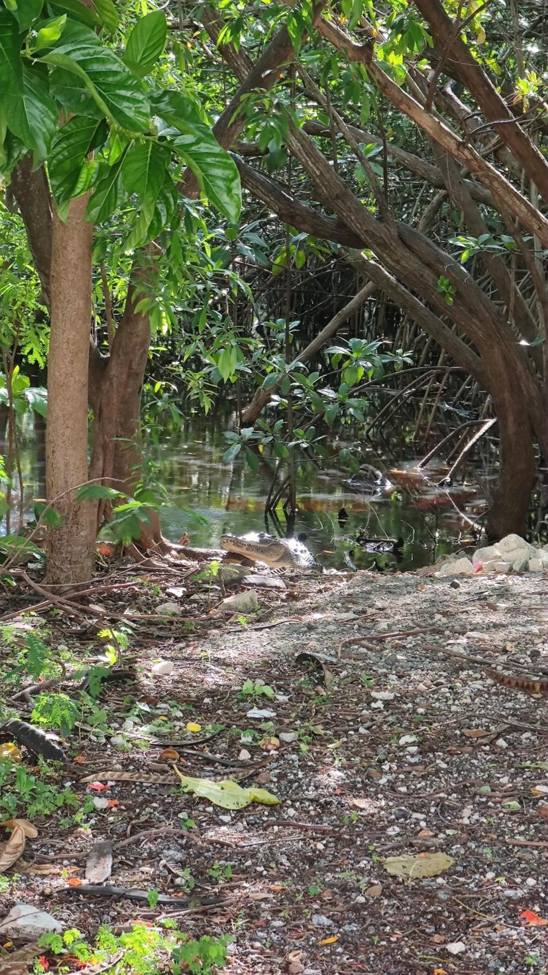 Сasa de vacaciones Acogedora Y Moderna Casa Coati *