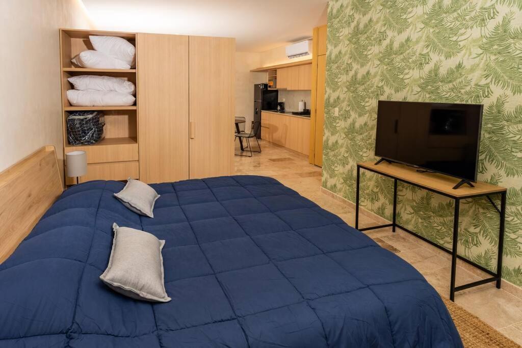 Estudio Moderno En La Av Nader Cancún