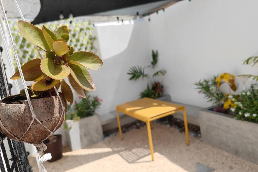 Сasa de vacaciones Acogedora Y Moderna Casa Coati
