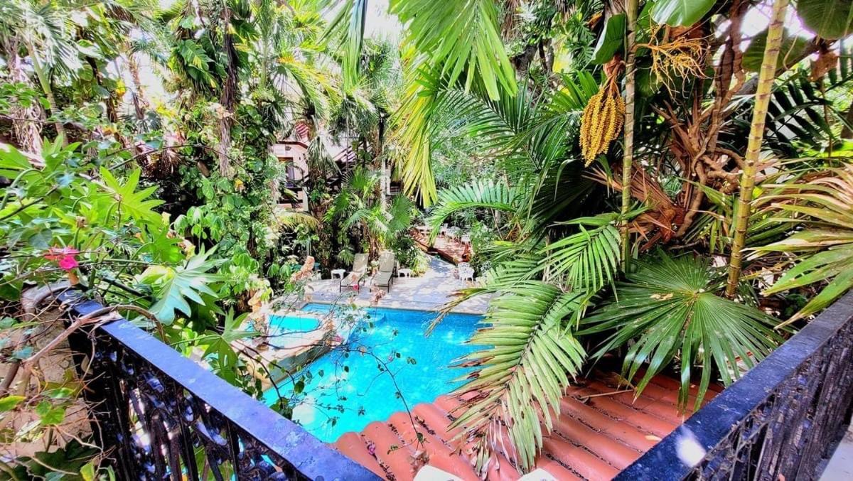 Hotel Eco-hotel El Rey Del Caribe 3*