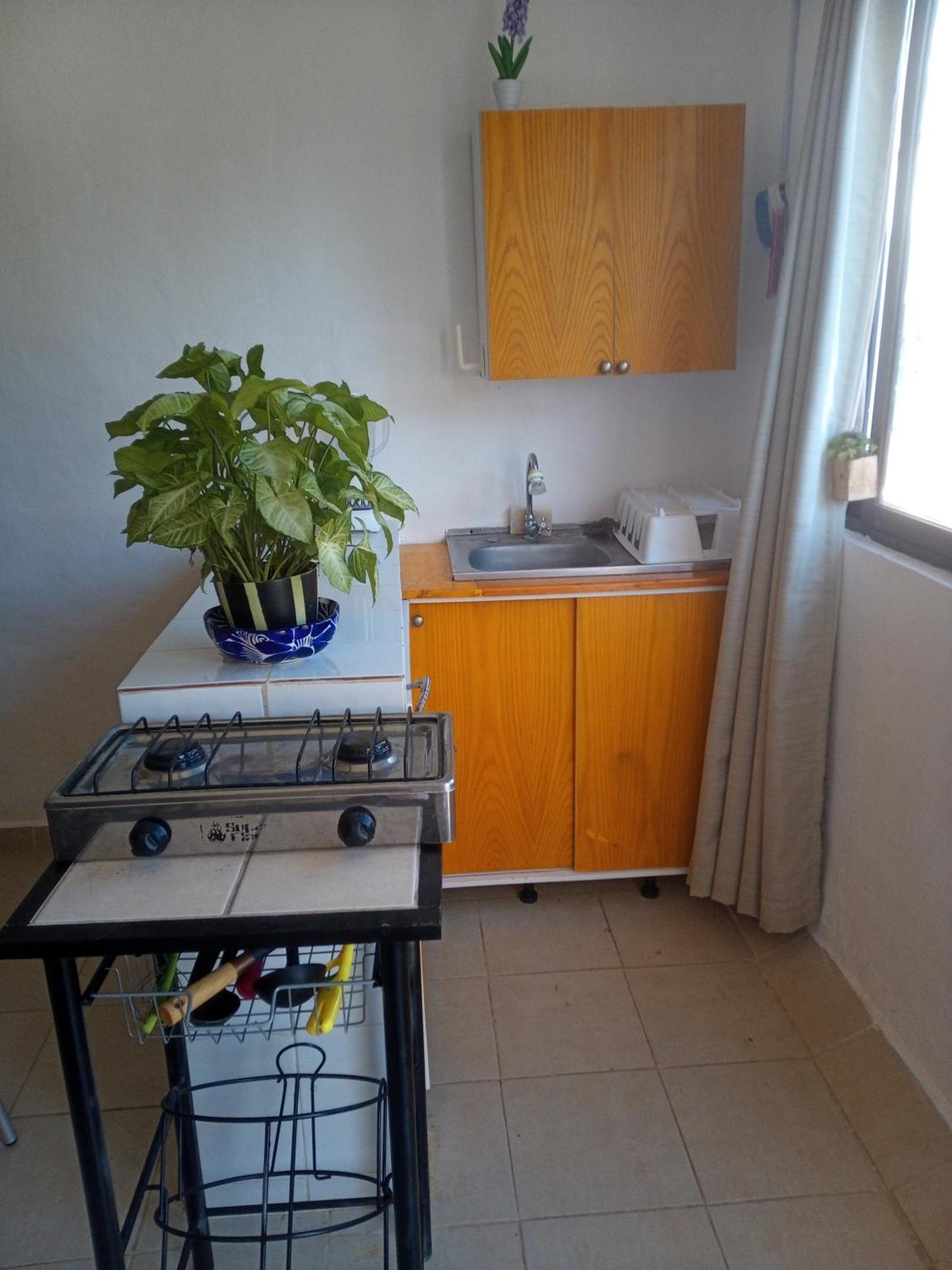 Estudio Quetzales * Cancún