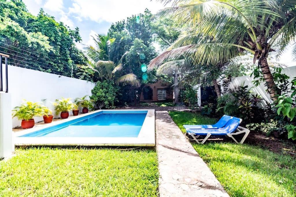 La Ceiba - Next To The Jungle 3-pax * Cancún