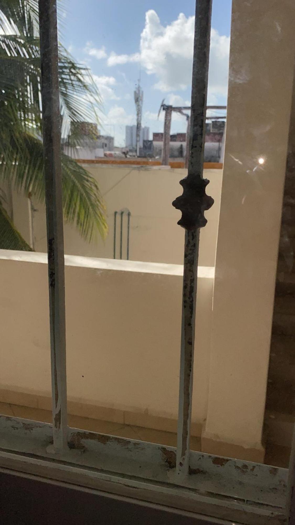 Apartamento Departamento Crisantemo *