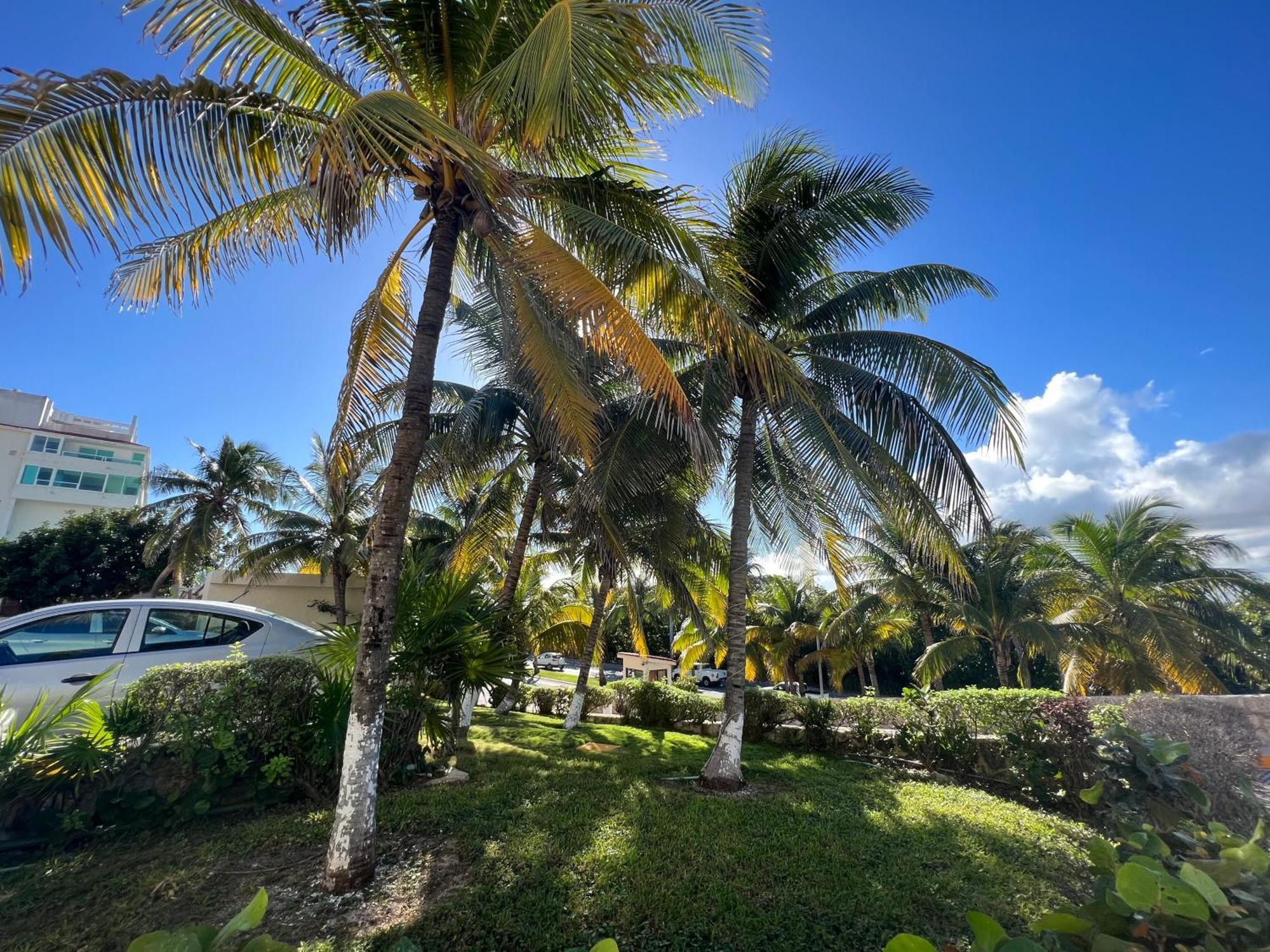 Solymar Studio Apt Beachfront With Sunset Views Cancun