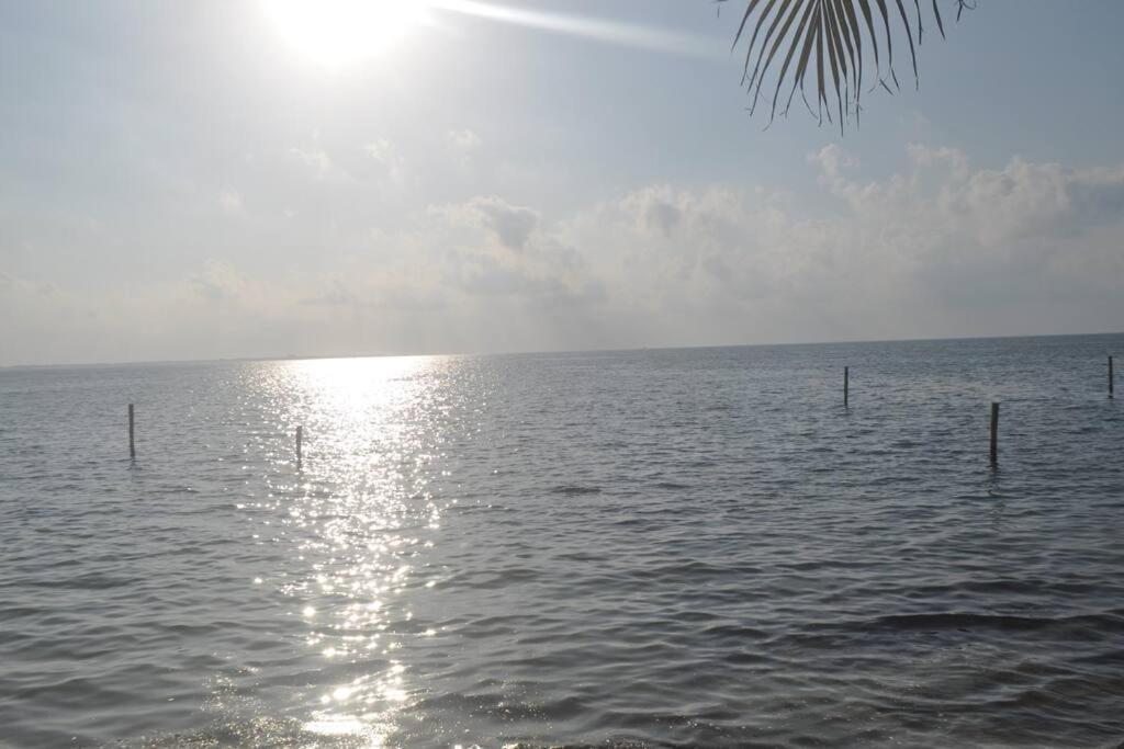 Apartamento Departamento Frente Al Mar Con Vista Increible Cancún