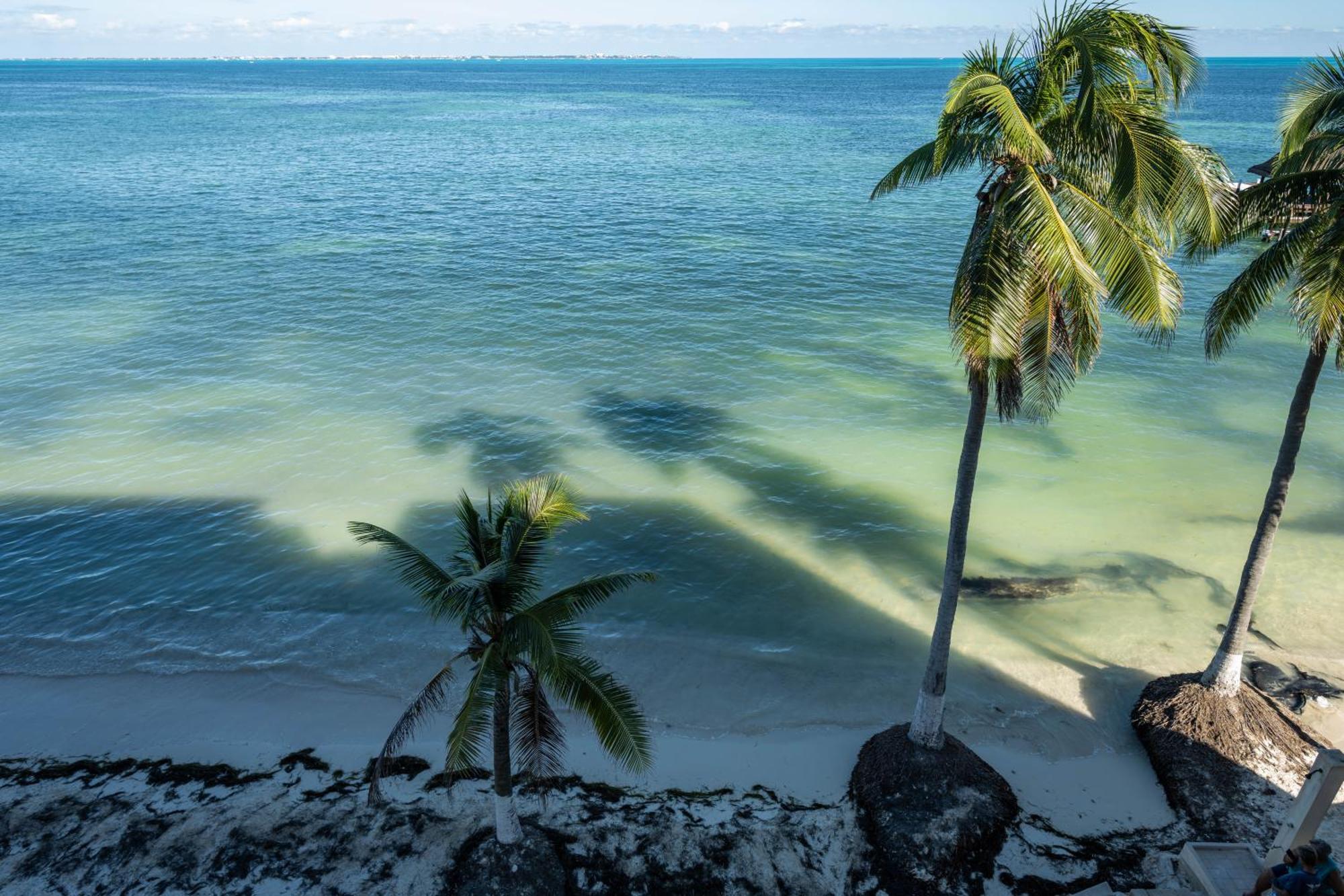 Apartamento Beachfront Con Magnifica Vista