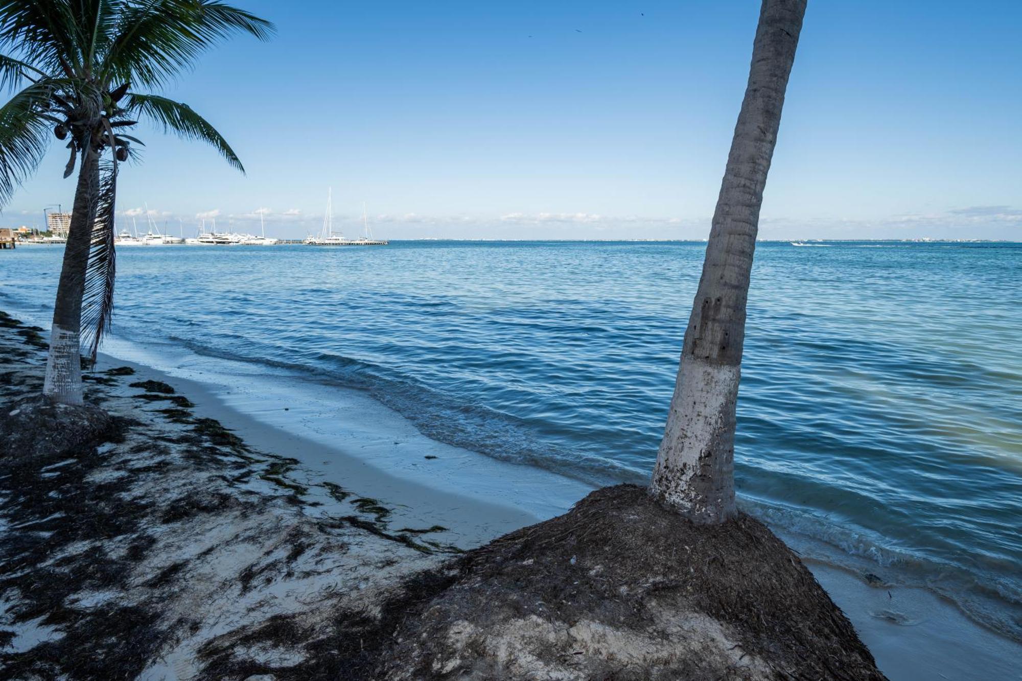 Beachfront Con Magnifica Vista