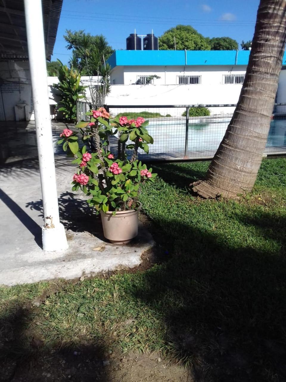 Apartamento Large House With Pool In For Big Groups Cancún