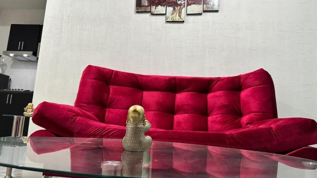 Dreams Of Arena In The Jungle Of Apartamento