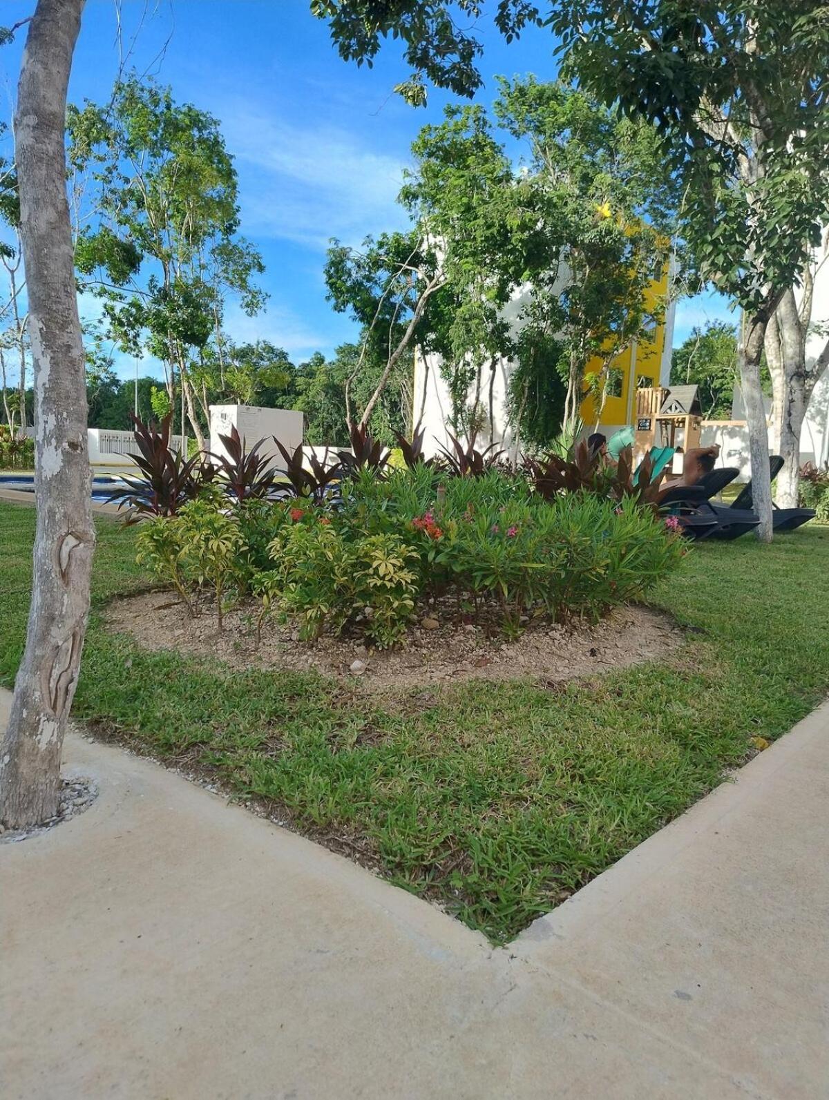 Apartamento Dreams Of Arena In The Jungle Of Cancún
