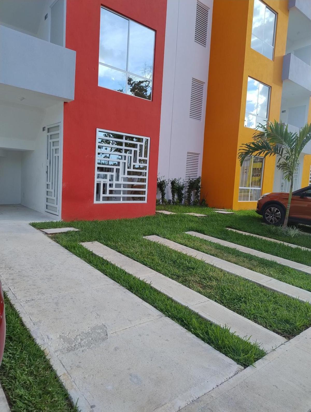 Dreams Of Arena In The Jungle Of Cancún