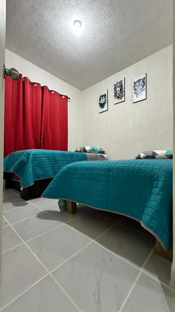 Apartamento Dreams Of Arena In The Jungle Of Cancún