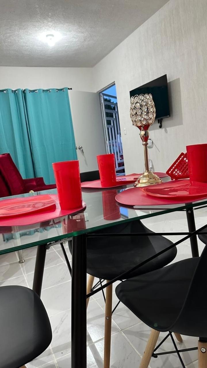 Dreams Of Arena In The Jungle Of Apartamento *