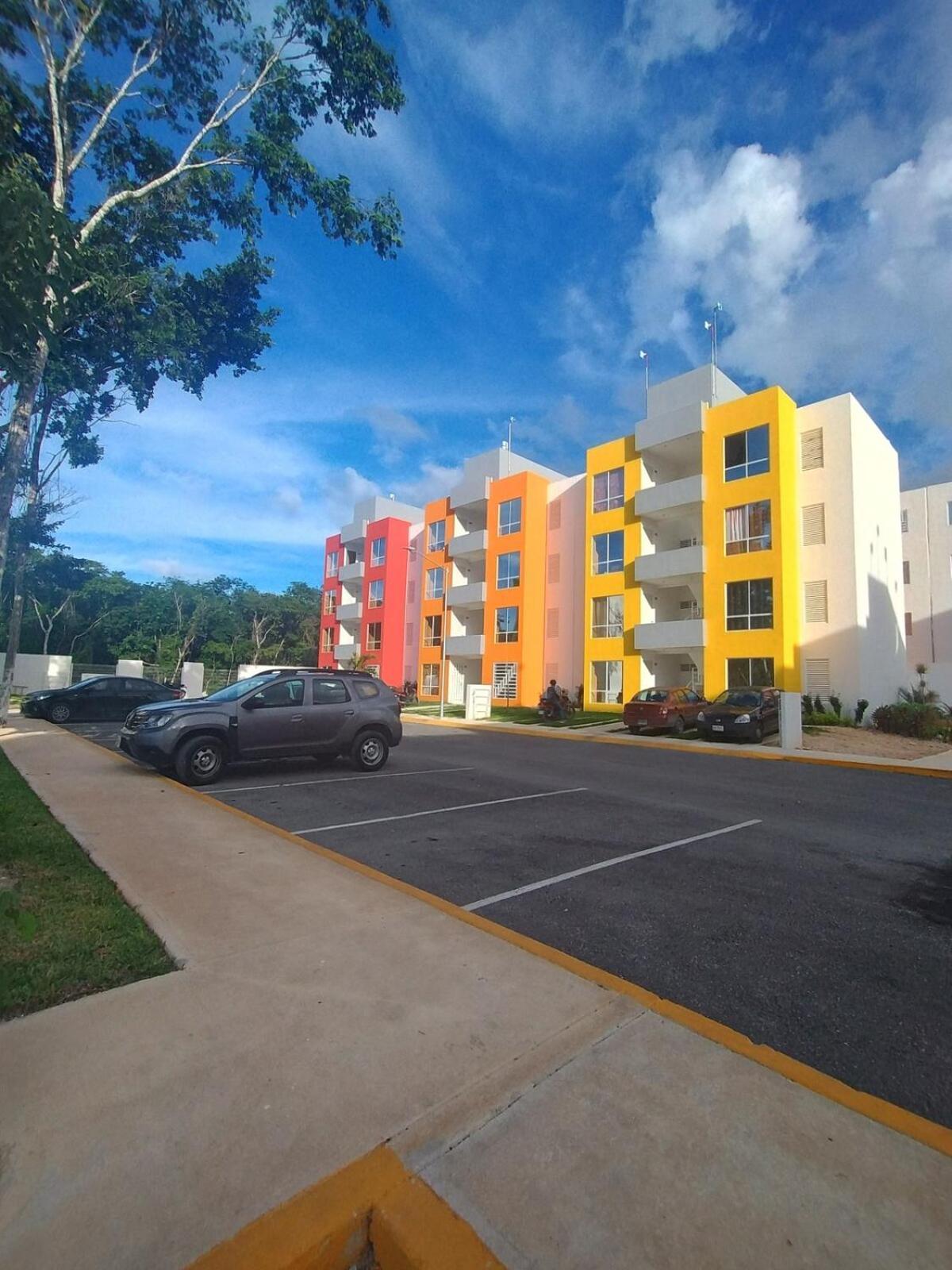 Dreams Of Arena In The Jungle Of Apartamento Cancún
