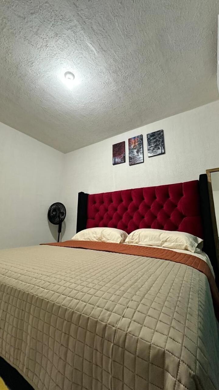 Apartamento Dreams Of Arena In The Jungle Of Cancún
