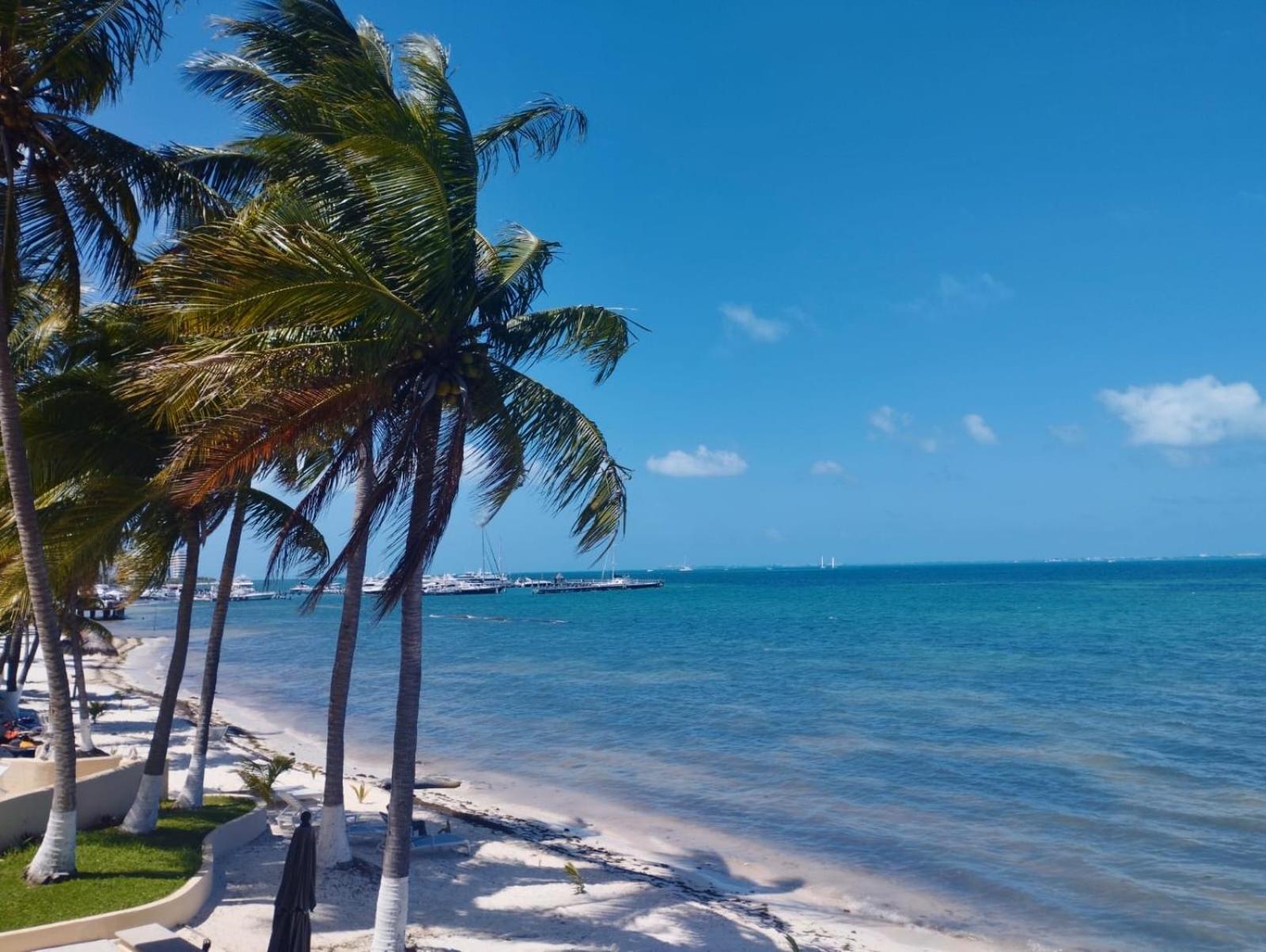 Ocean View Playa Del Nino