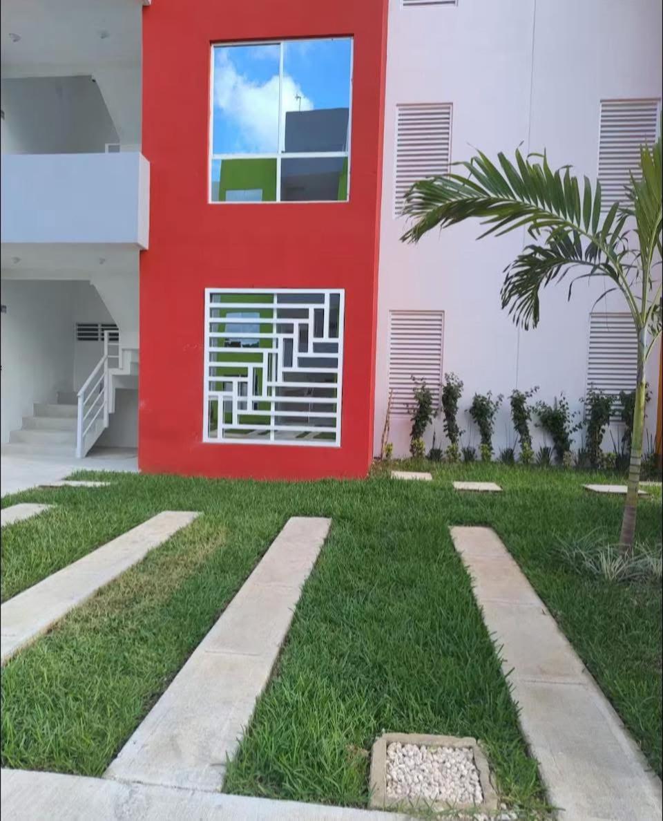 Dreams Of Arena In The Jungle Of Apartamento *