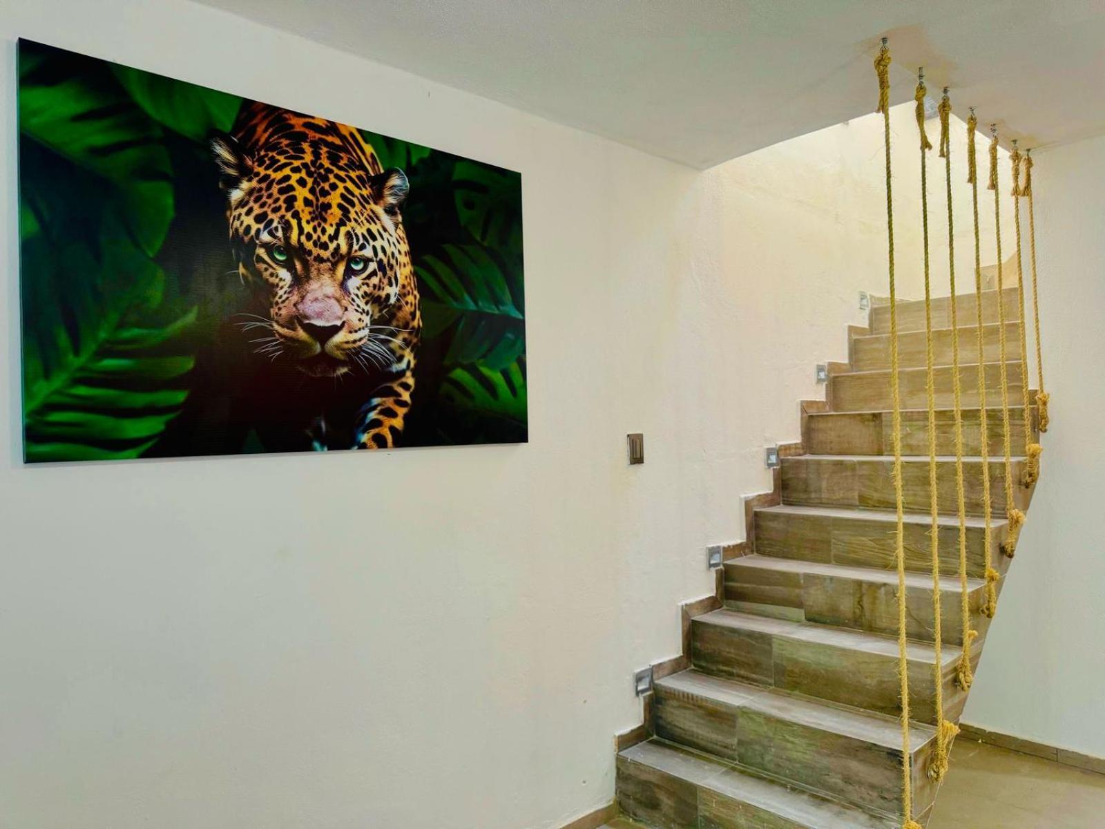 Apartment Casa Petate *