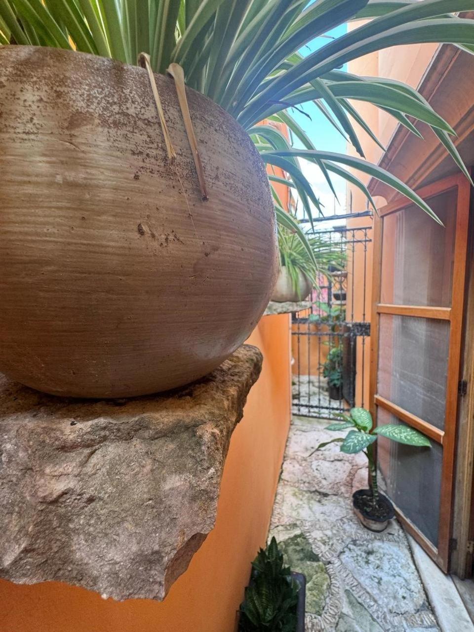 Hotel Casa Mallorca 2*