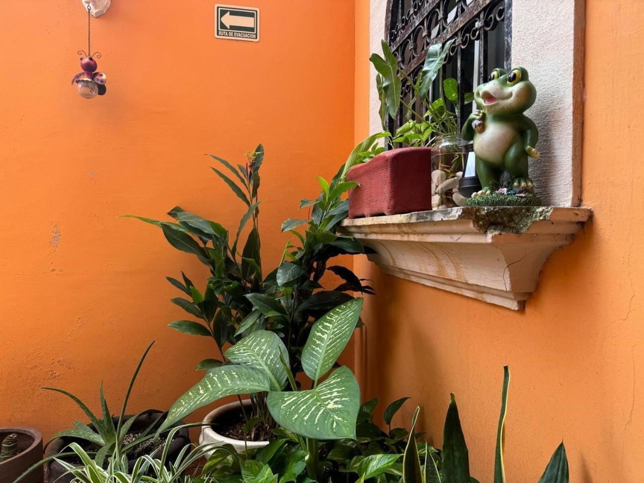 Casa Mallorca
