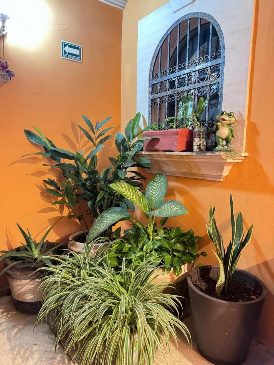 Hotel Casa Mallorca Cancún