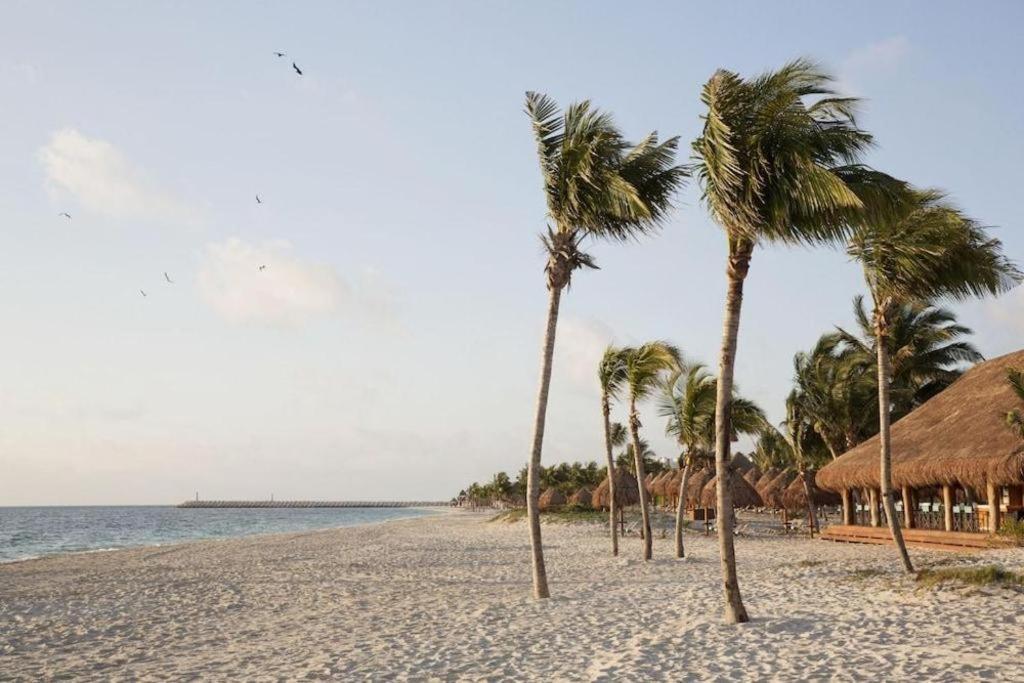 Finest Playa Mujeres 5*