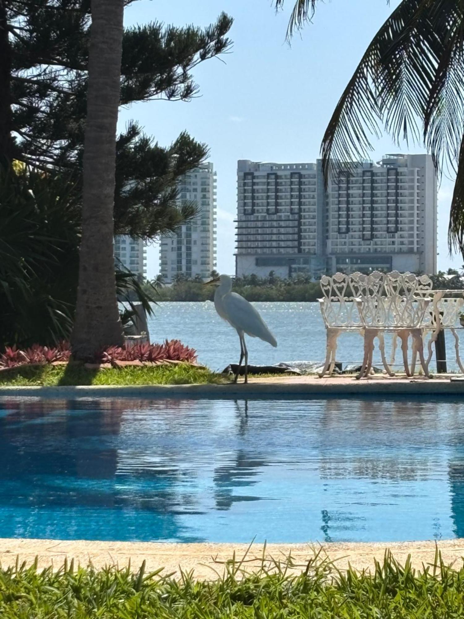 Villa Magnifica Palmeras Luxurious 4 Bedroom 6 Bds 4 Ba Private Pool Lagoon Front Super Fast Wifi Cancún