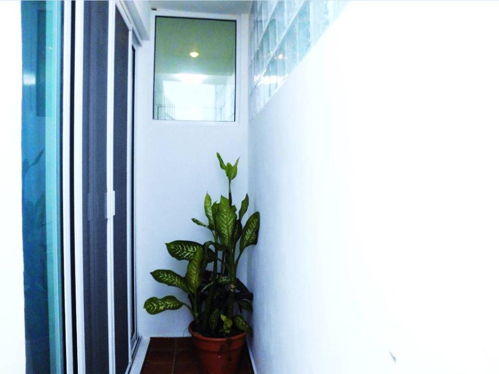 Apartamento Departamentos Capdeviel Cancún