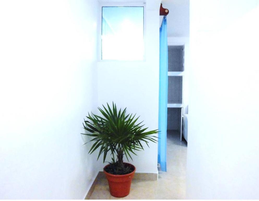 Departamentos Capdeviel * Cancún
