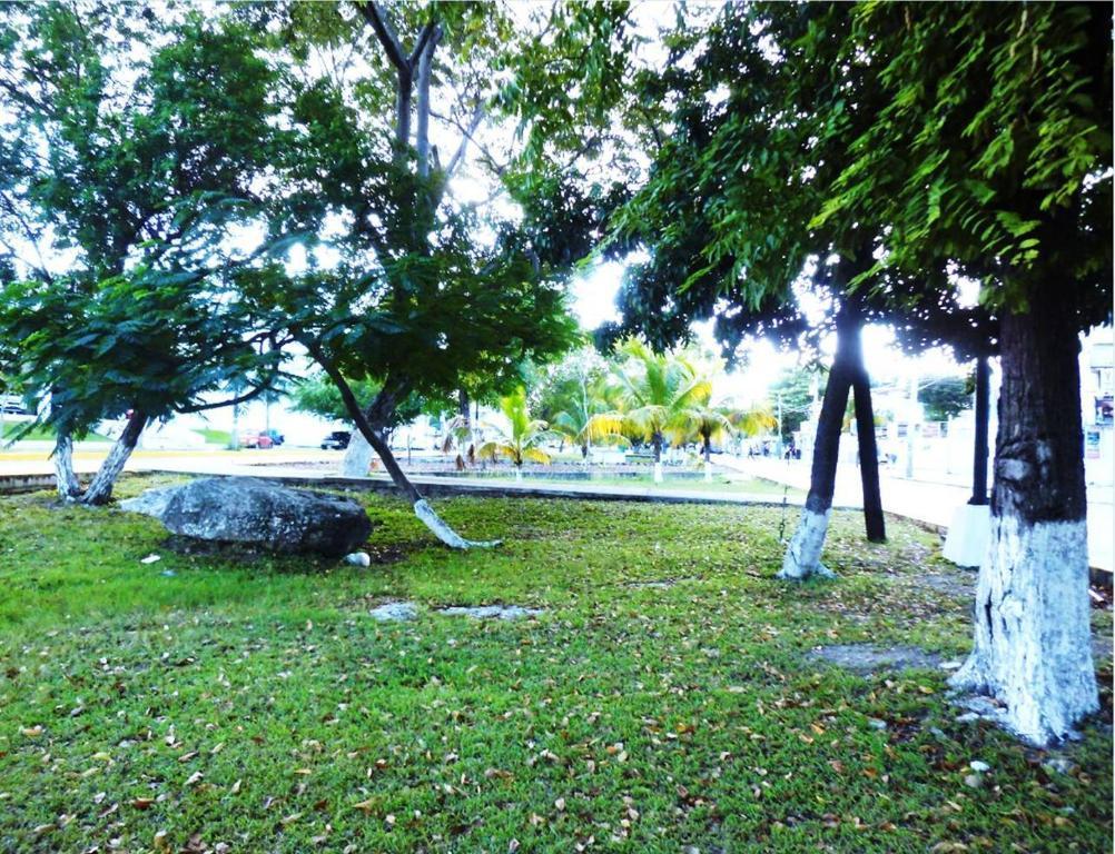 Apartamento Departamentos Capdeviel