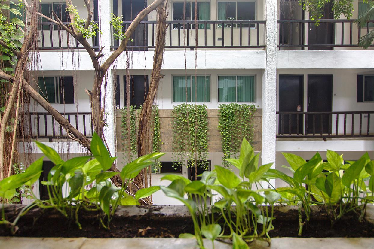 Hotel Colonial