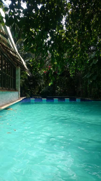 Casa De La Selva A 15 Min Aeropuerto *