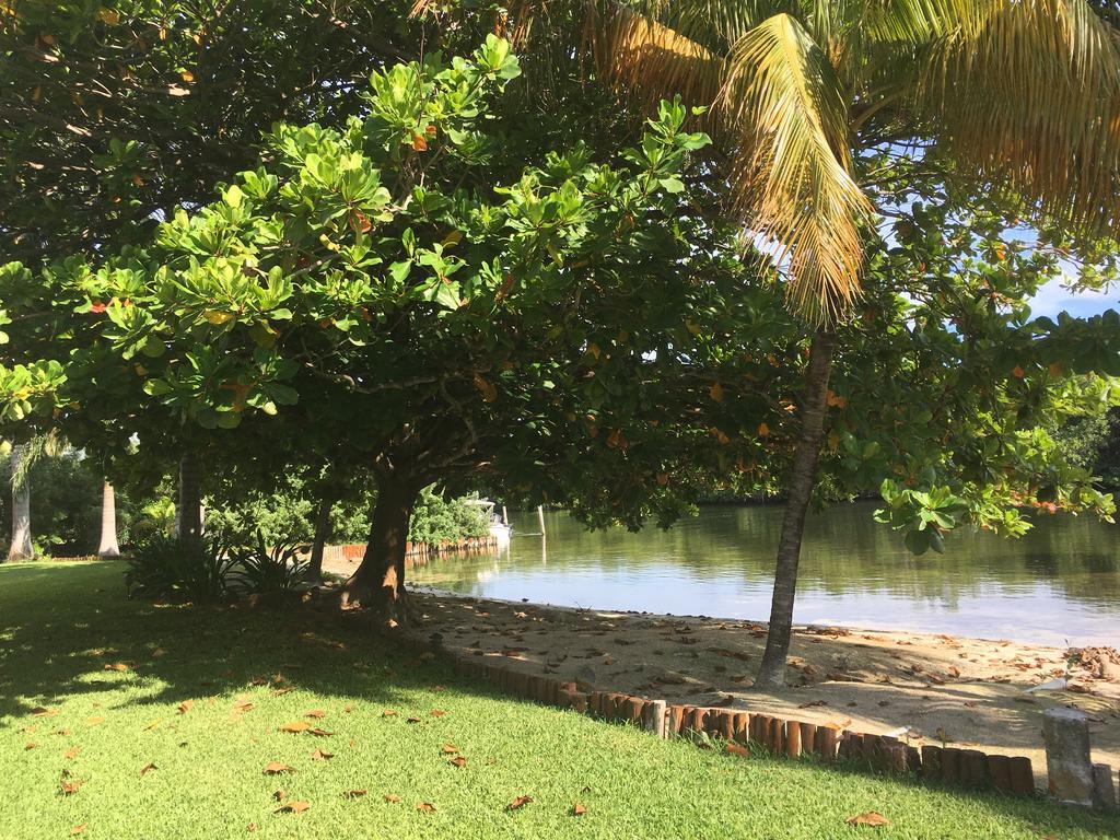 Casa Manglar Habitación en casa particular Cancún