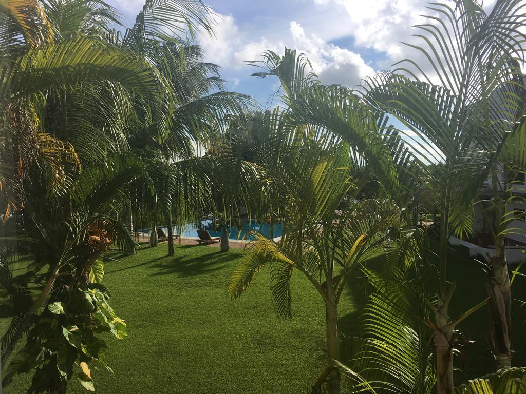 Casa Manglar