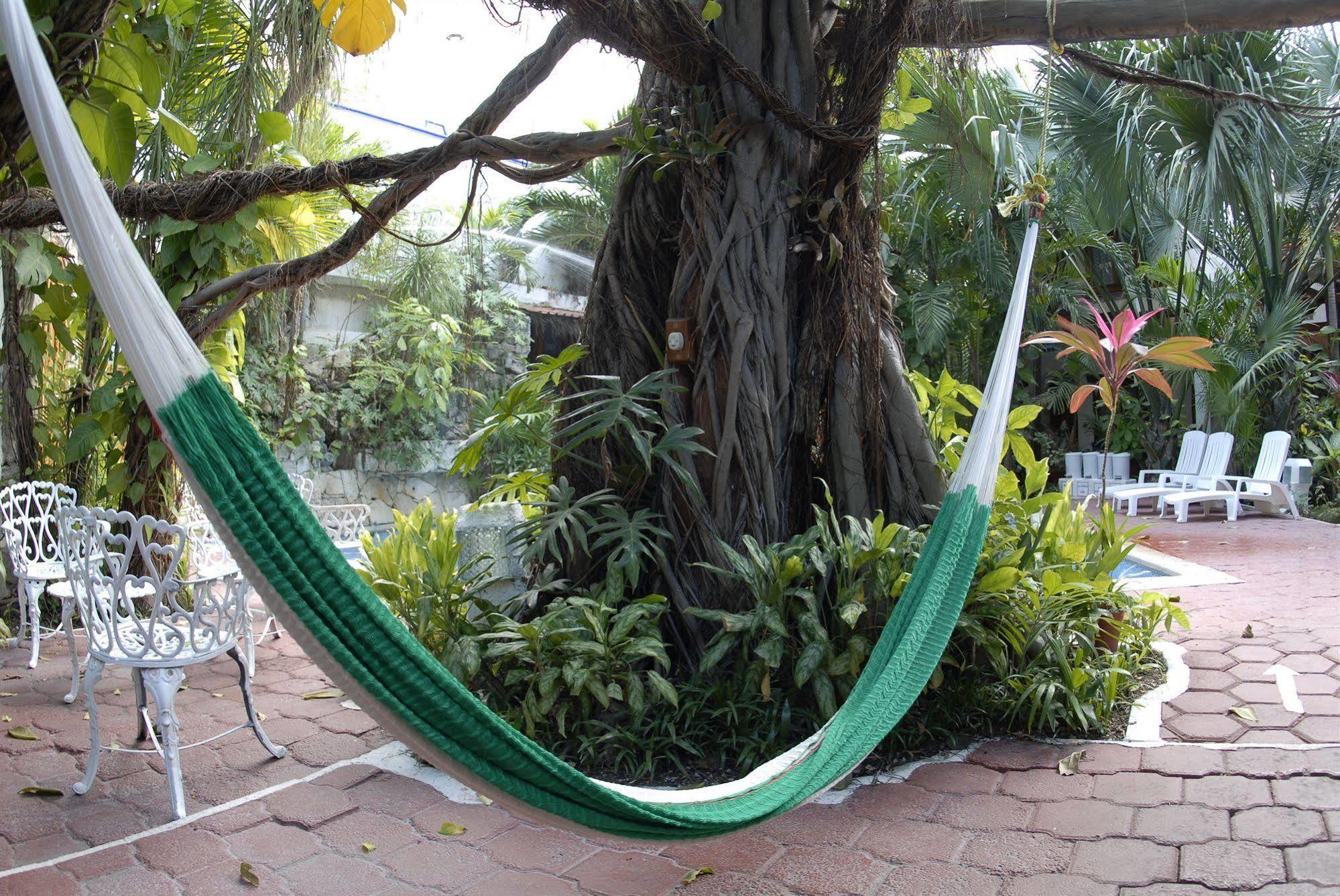 Eco-hotel El Rey Del Caribe Hotel