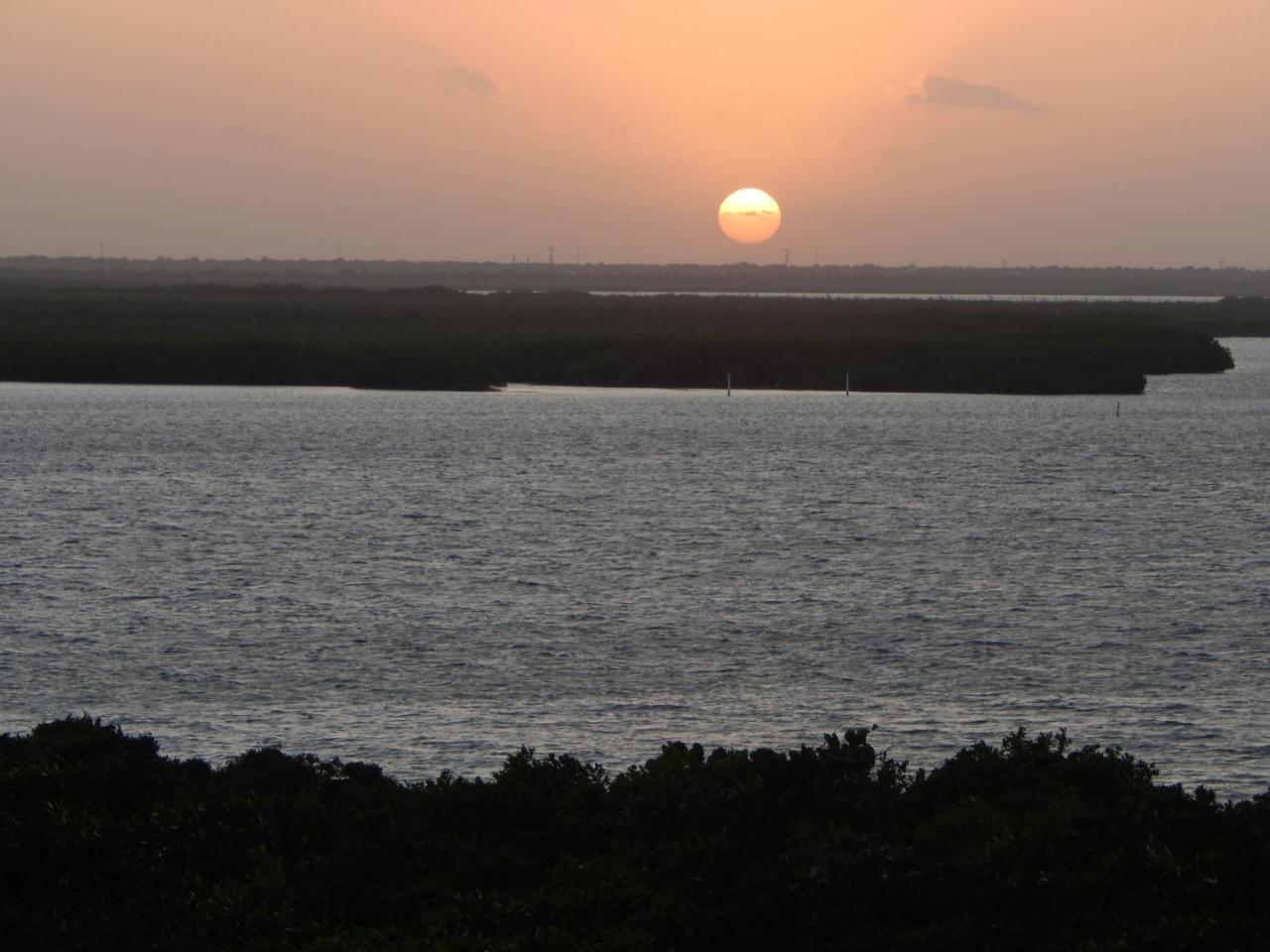 Solymar