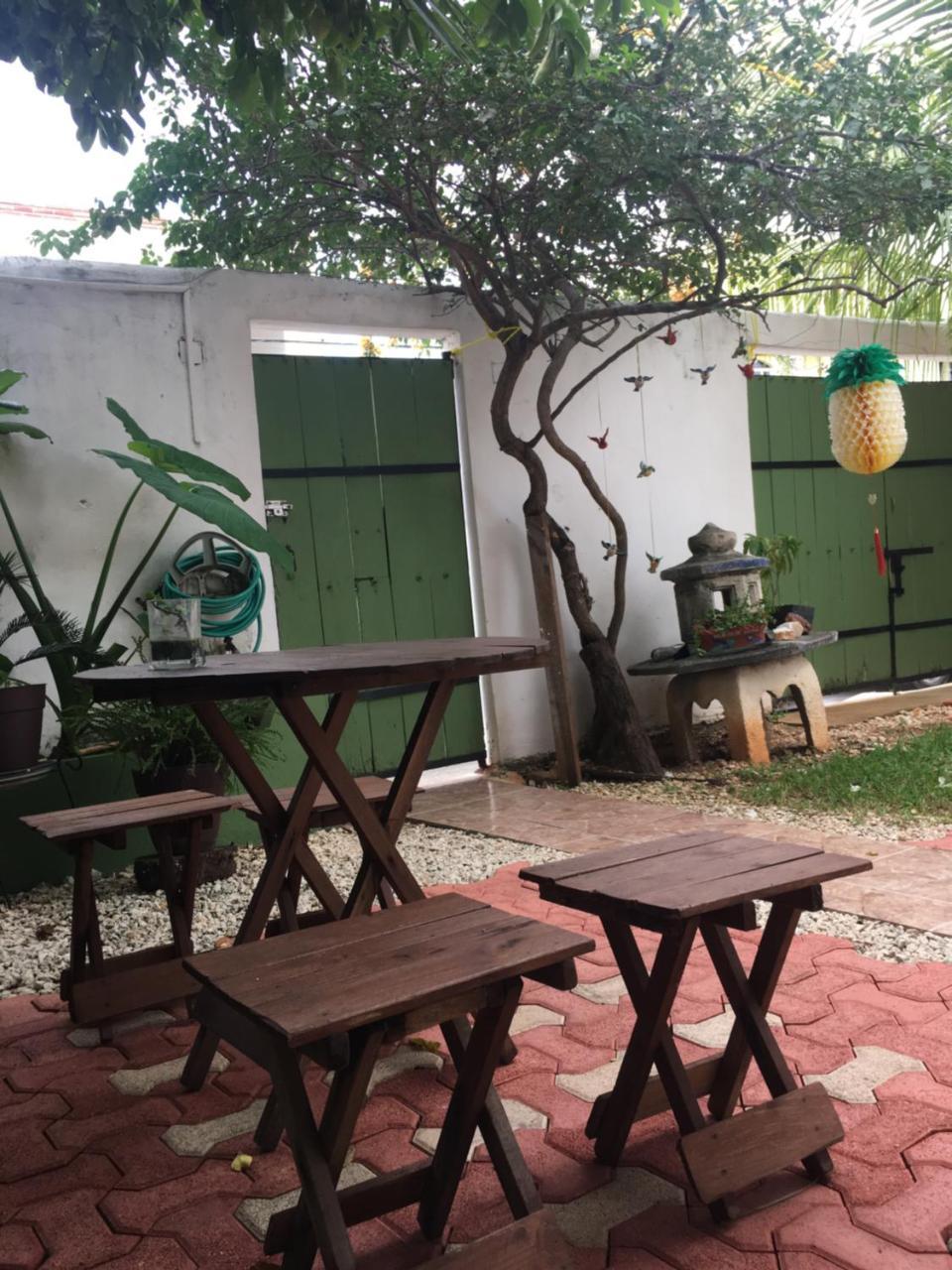 Apartamento Violeta's House *