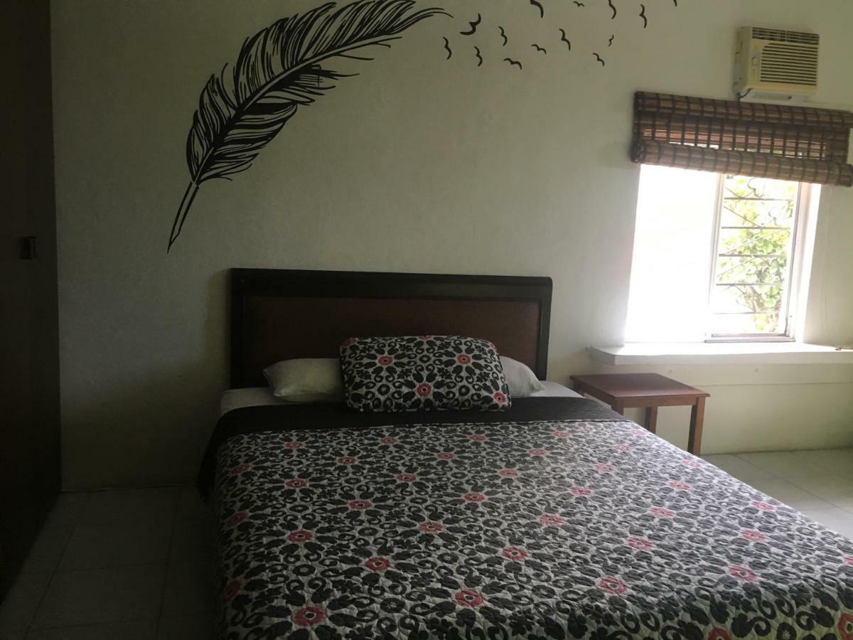 Apartamento Violeta's House *