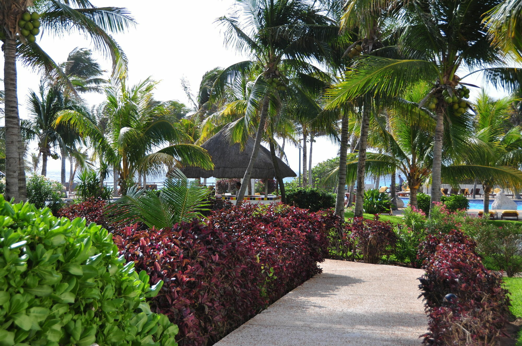 Grand Oasis Resort Cancun