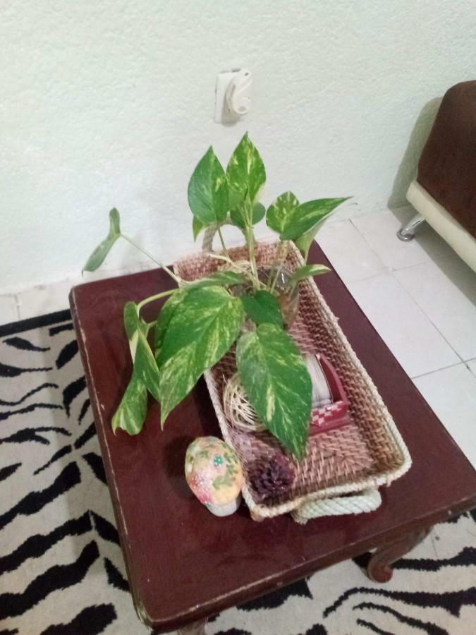Apartamento Departamento Caimito Cancún